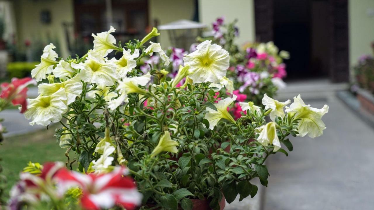 Garden Hotel Kathmandu