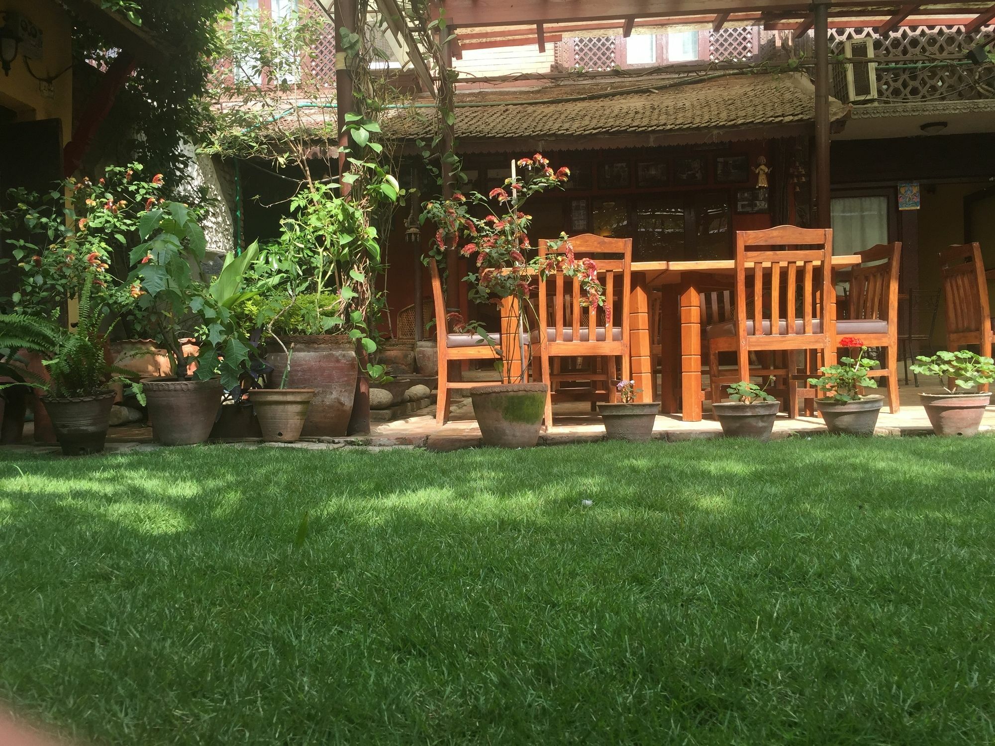 Hotel Ambassador Garden