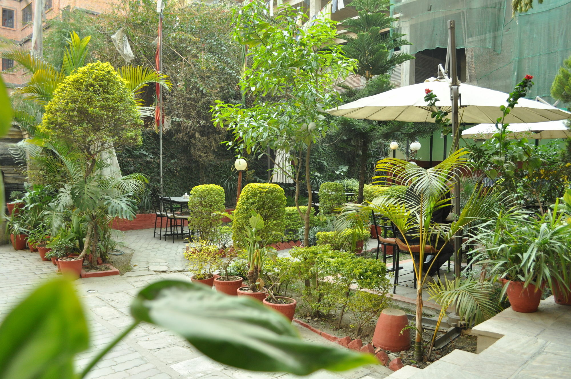 Inn Florid Nepal 2*