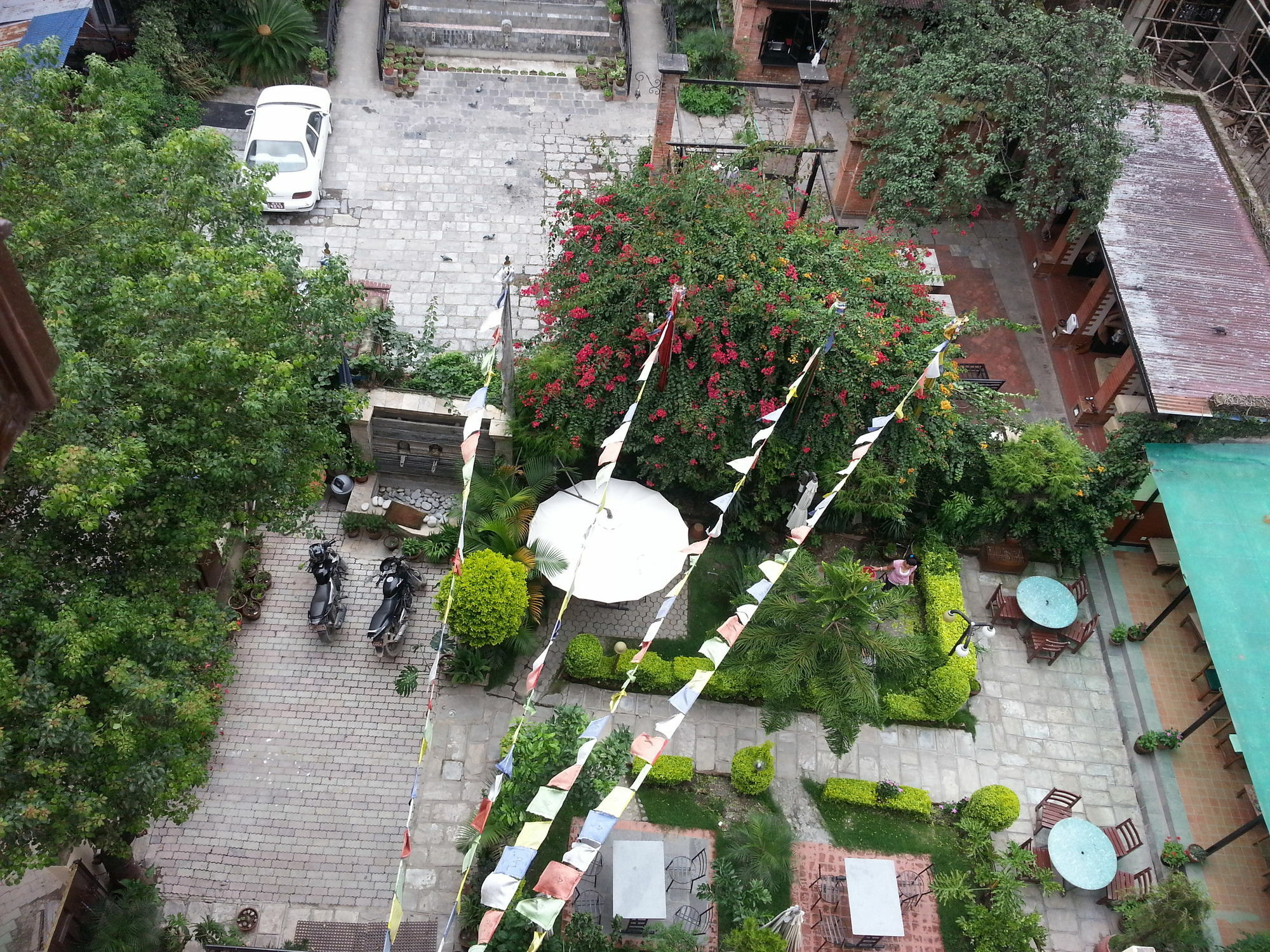 Florid Nepal Kathmandu
