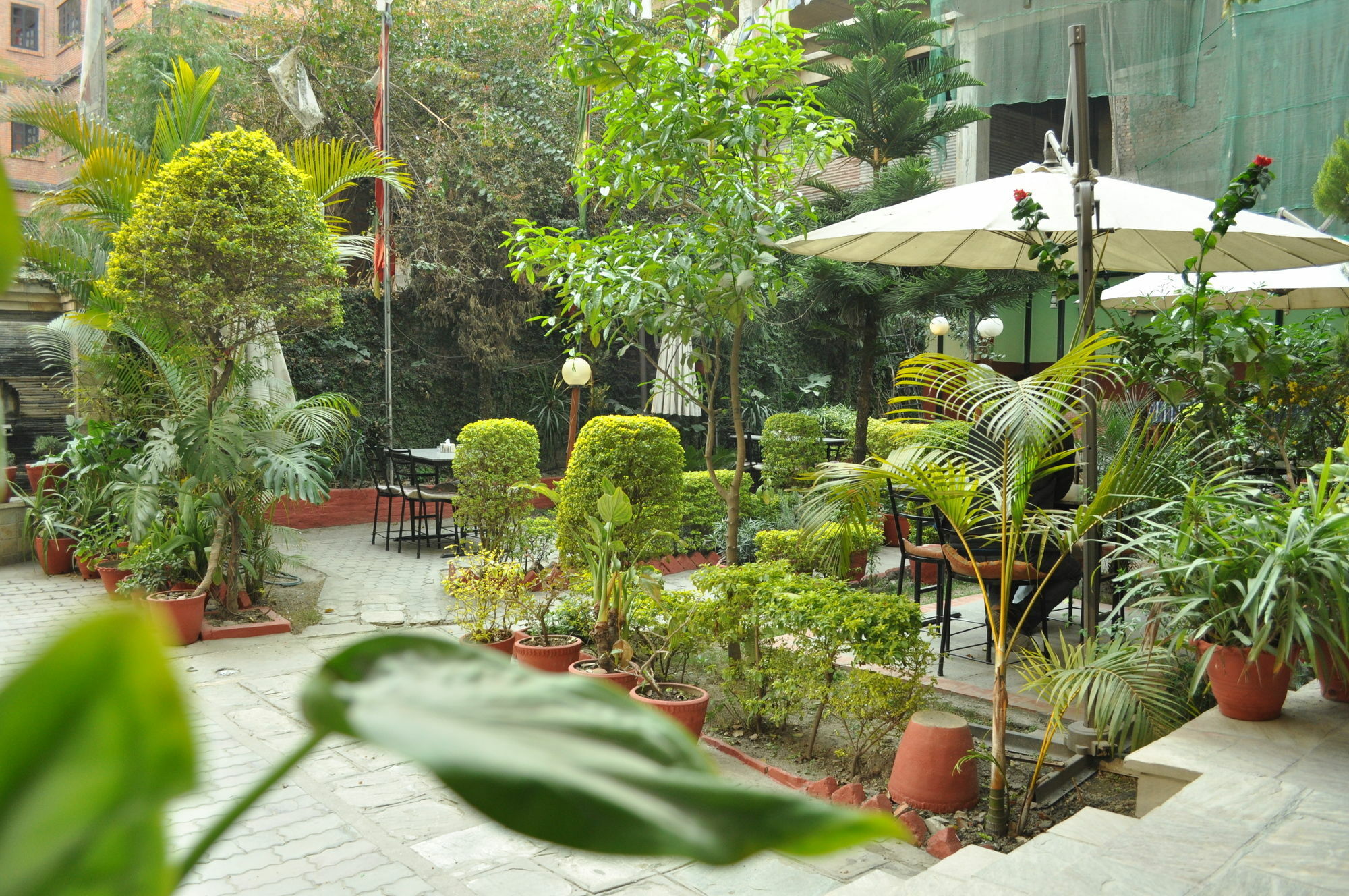 Florid Nepal Inn Kathmandu