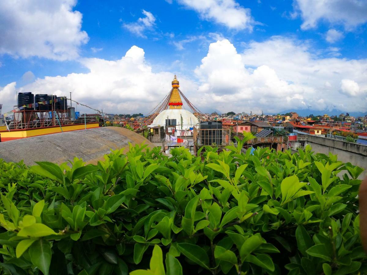 Bodhiz Kathmandu