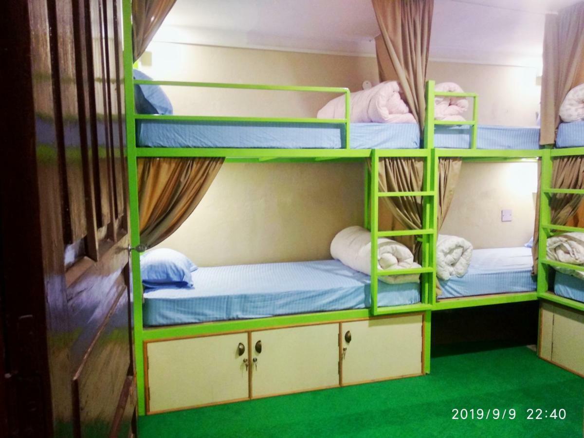Hostel Big Tree *