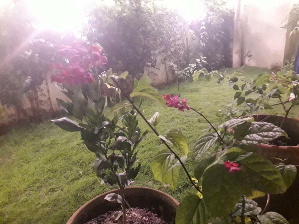 Bed & Breakfast Namaste 3*
