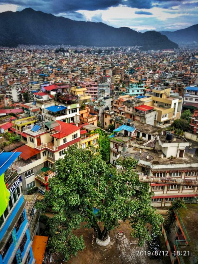 Hostel Big Tree Kathmandu