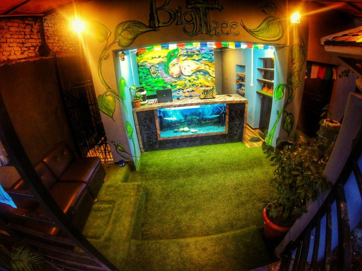 Big Tree Hostel