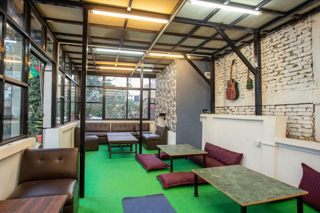 Hostel Big Tree