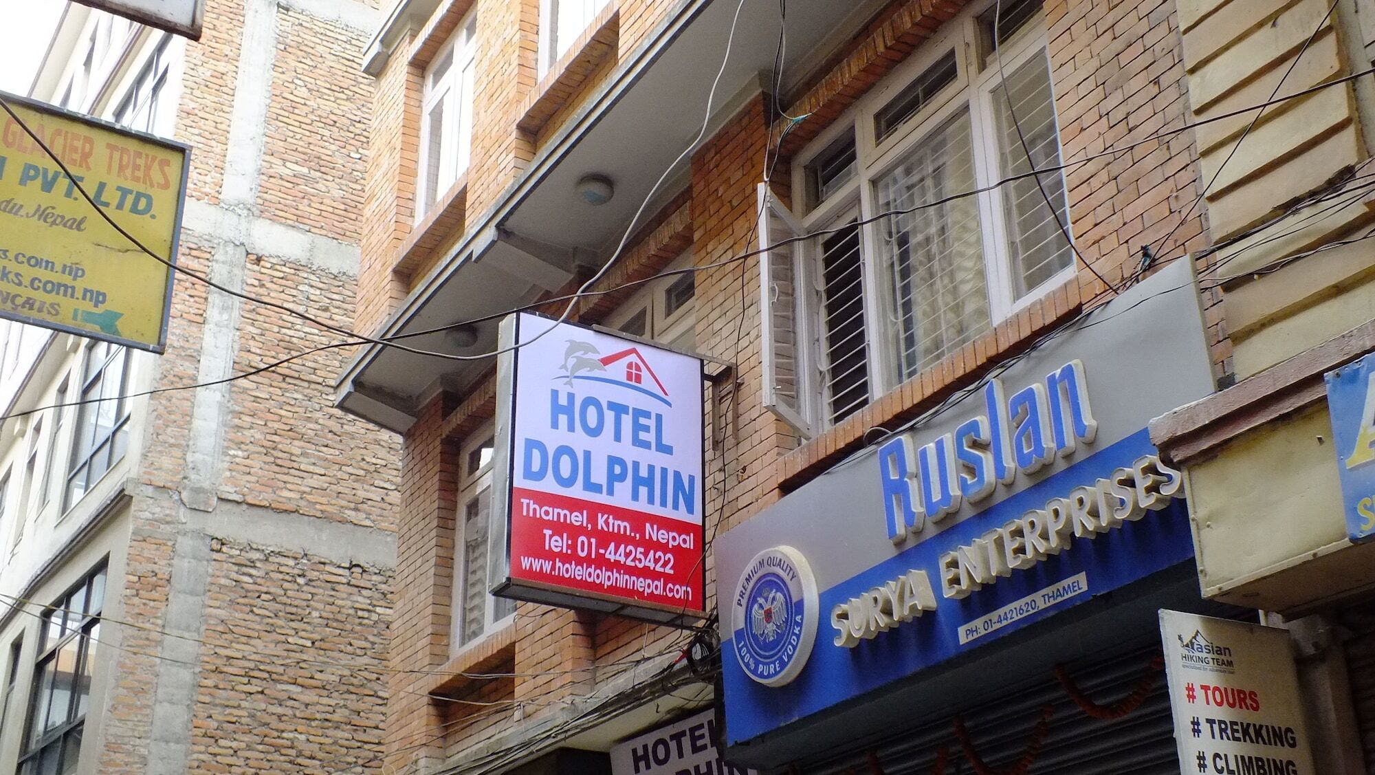 Dolphin *