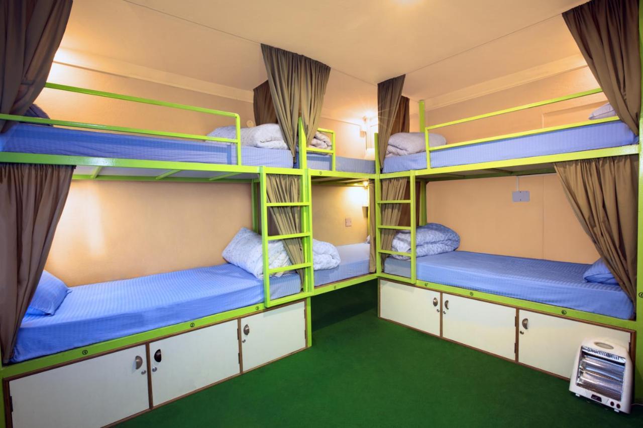Hostel Big Tree *