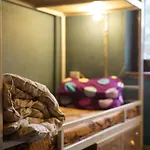 Firefly Backpackers Hostel