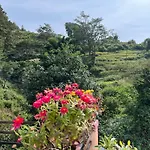 Perfect Home Stay