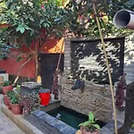 Paru Home