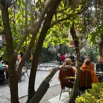 Cloud 9 Garden