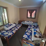 Happy Donkey Hostel