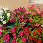 Anita\'S Home -2