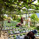 Prakriti Resort And Organic Farm Pvt. Ltd.