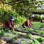 Prakriti Resort And Organic Farm Pvt. Ltd.
