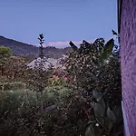 A Small House With Space To Farm