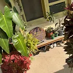 The Melo Pomelo Courtyard.