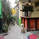 The Nepali Hive