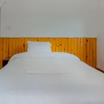 Lemon Tree Apartment & Home-Stay