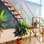 Backyard Hotel