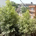 Lost Garden Apartment & Guest House