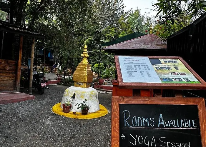 Institute Of Natural Medicine , Yoga & Therapy Home