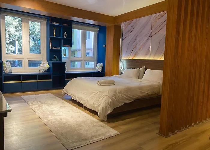 Modern Luxury Studio Apartment