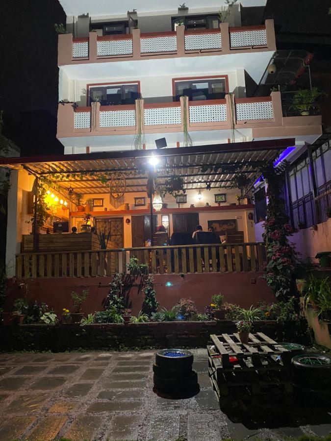 Birds Nest Hostel