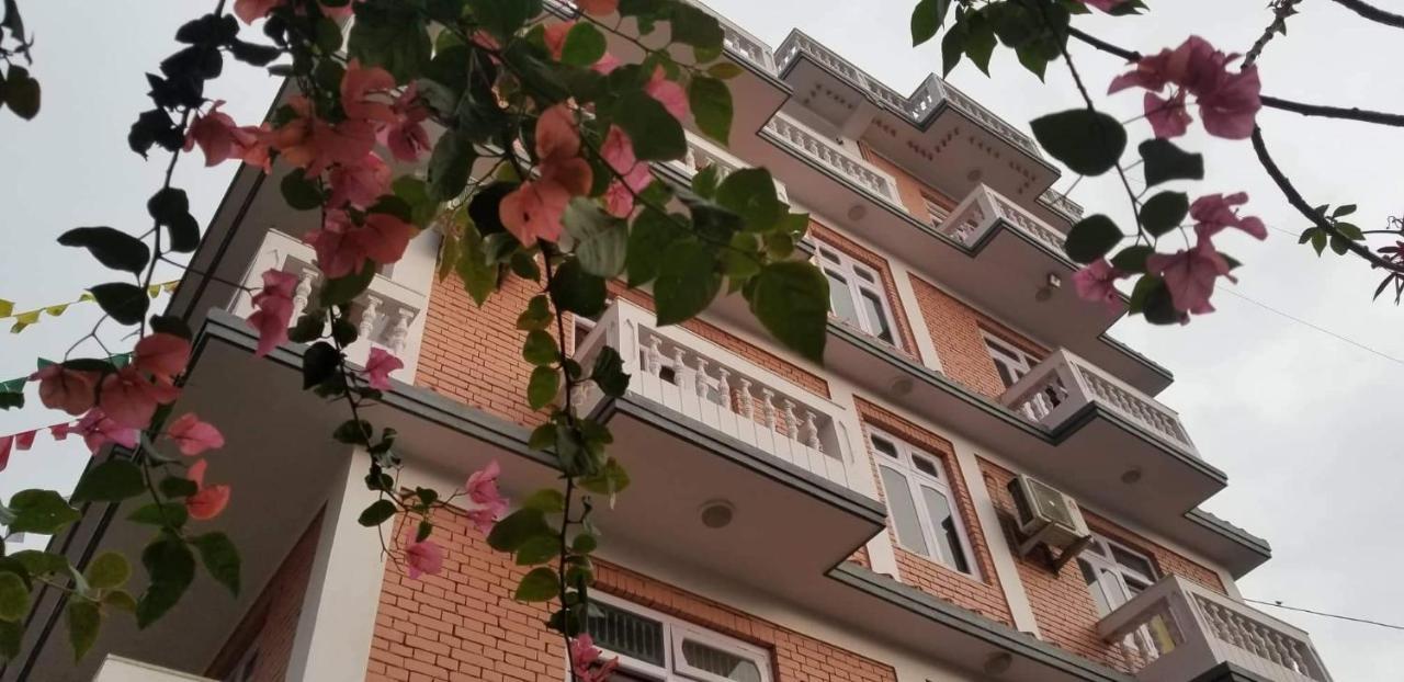 Cloud 9 Garden