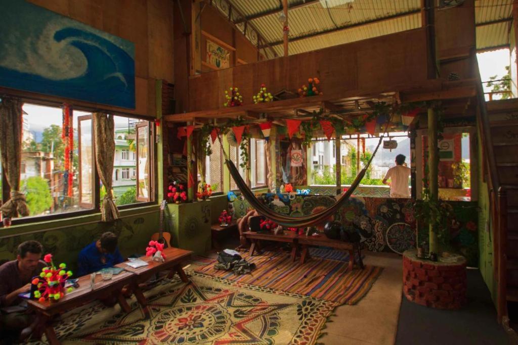 Firefly Backpackers Hostel Hostel *