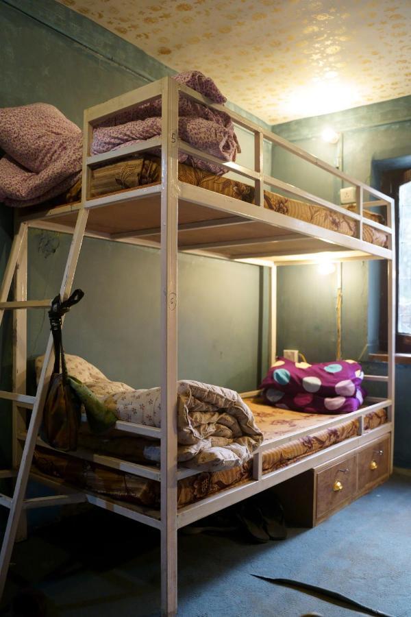 Firefly Backpackers Hostel Hostel
