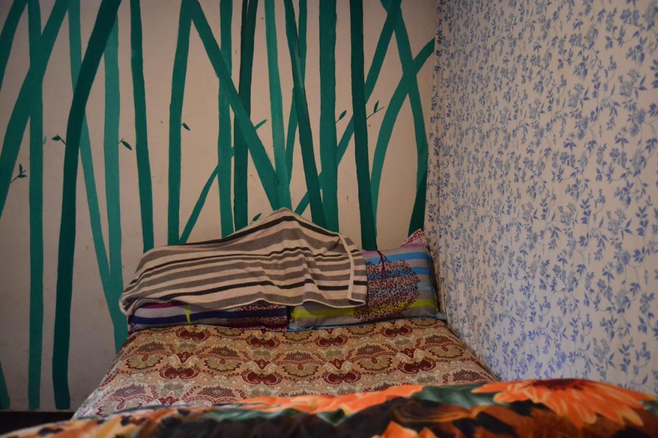 Firefly Backpackers Hostel