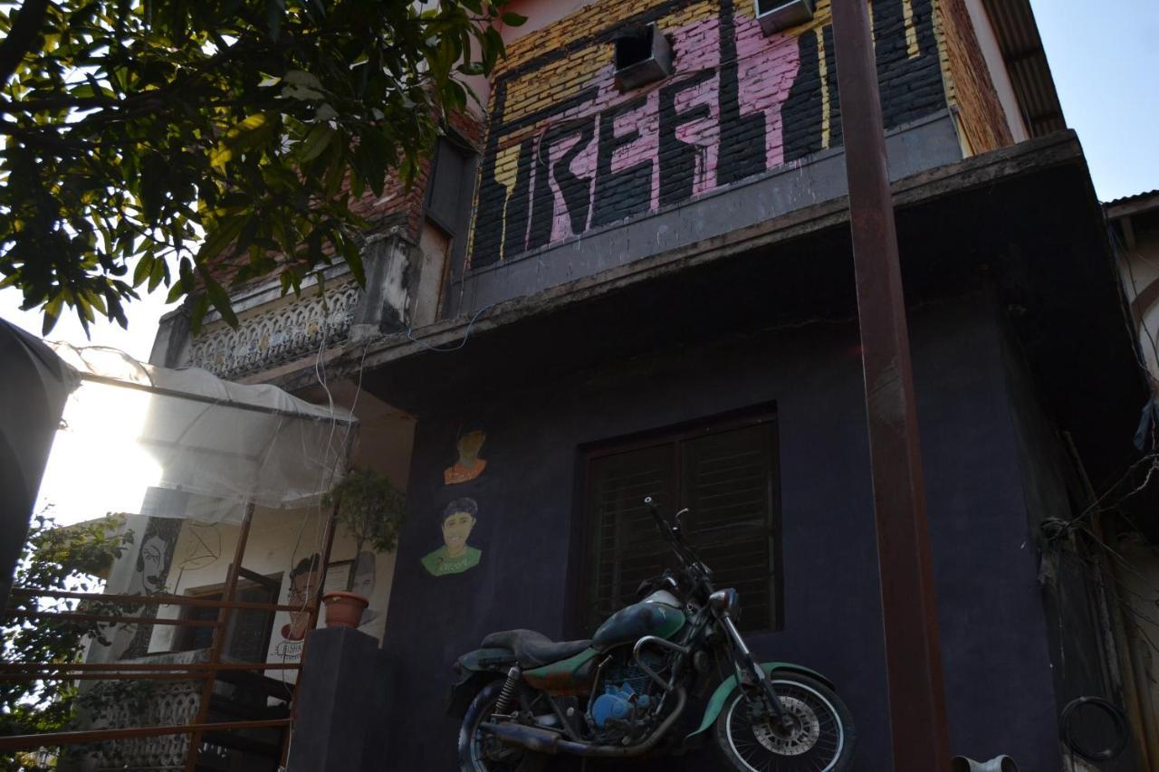 Firefly Backpackers Hostel *
