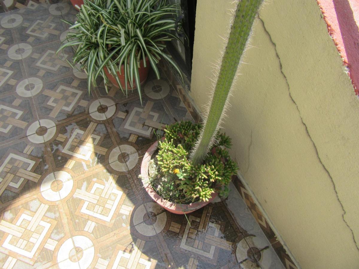 Guest house Stupa View 2*