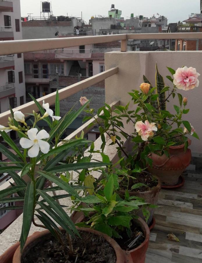 Apartment Rupas