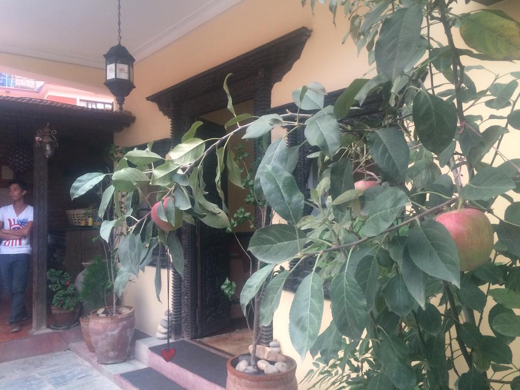 Mi Casa Hotel 3*