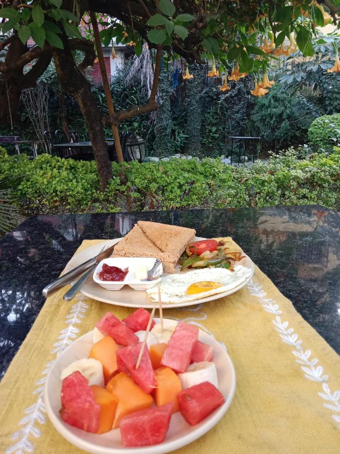 Lotus Garden Hotel Kathmandu