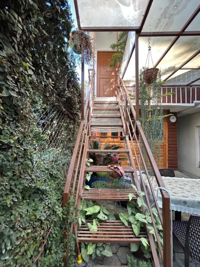 Sudha's Garden