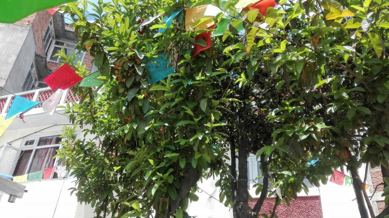 Hostel Best Hostel Kathmandu
