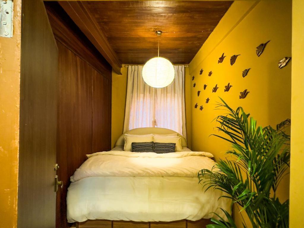 Apartment The Melo Pomelo Courtyard.