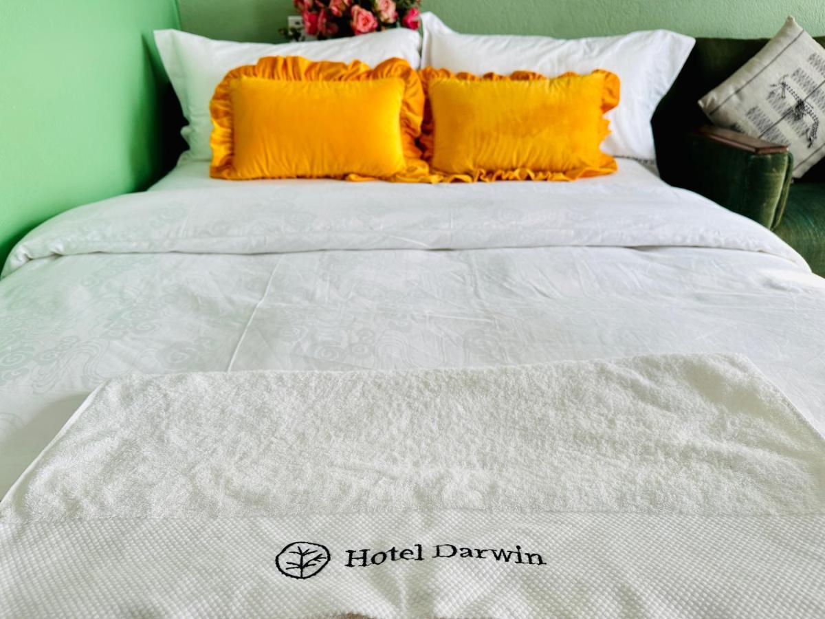 Darwin 2* Kathmandu