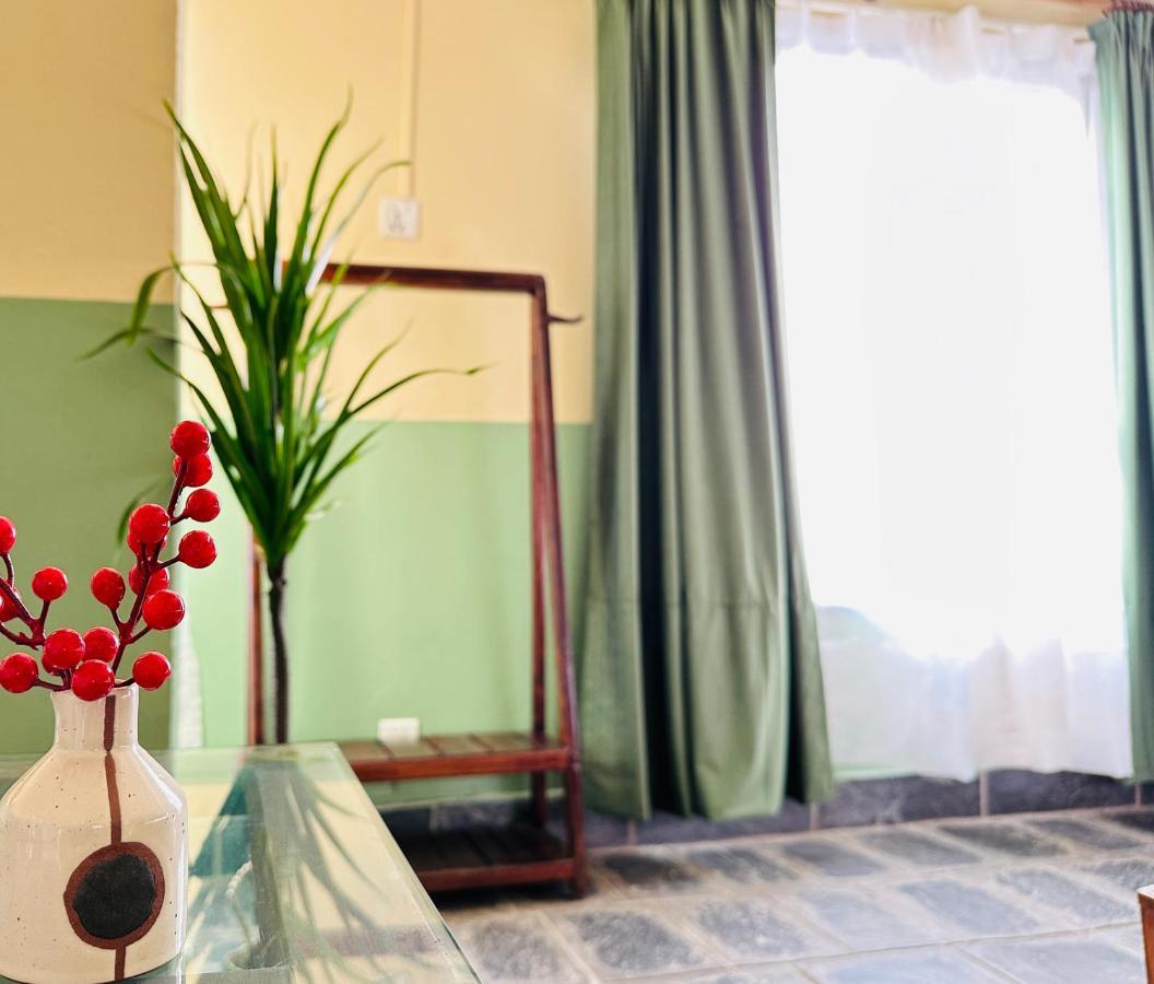 Hotel Darwin 2*