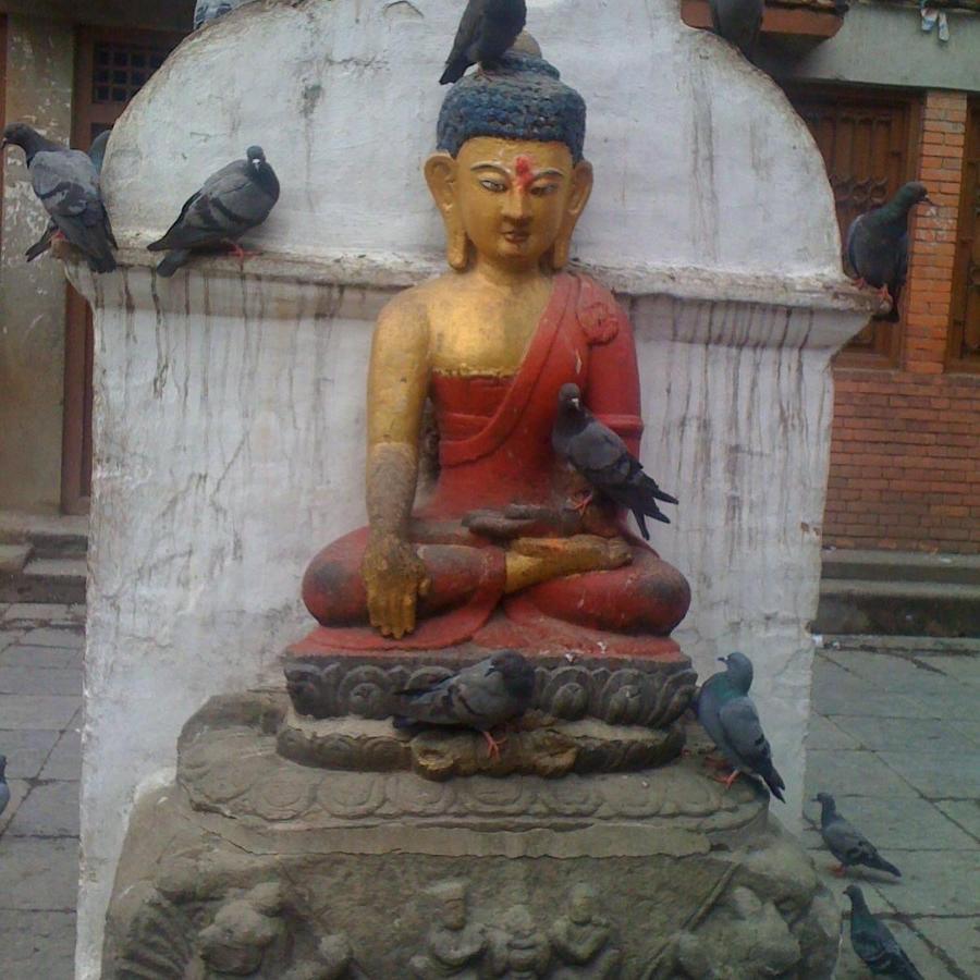 Harry's Kathmandu