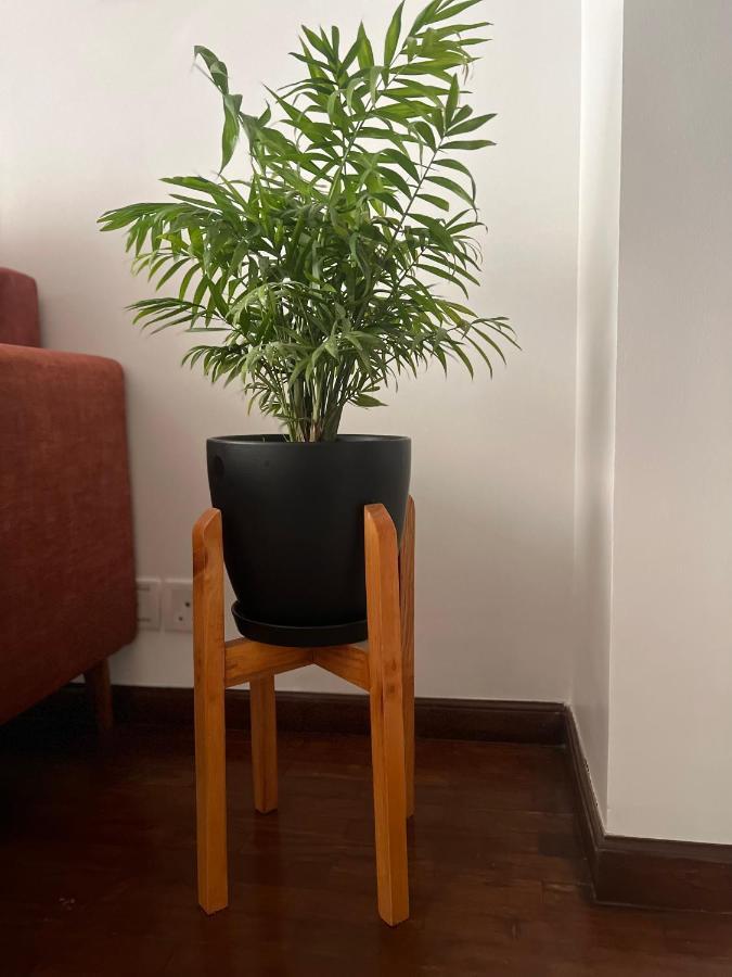 6d, Retreat Apartment Kathmandu