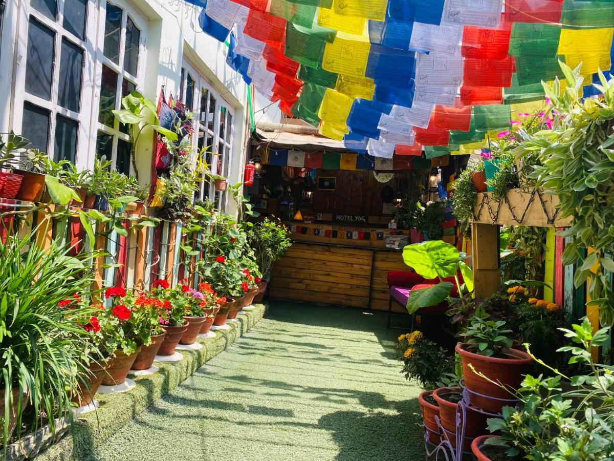 Yog Hostel Kathmandu