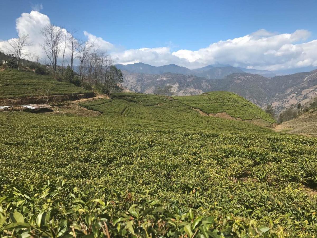 Prakriti And Organic Farm Pvt. Ltd. Farm stay Kathmandu