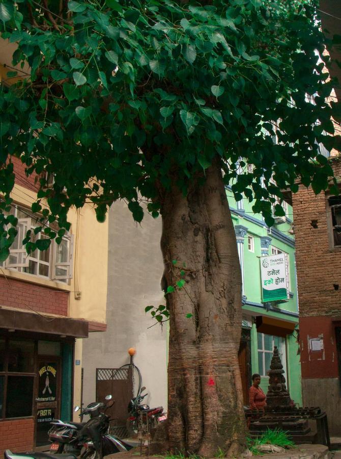 Thamel Eco
