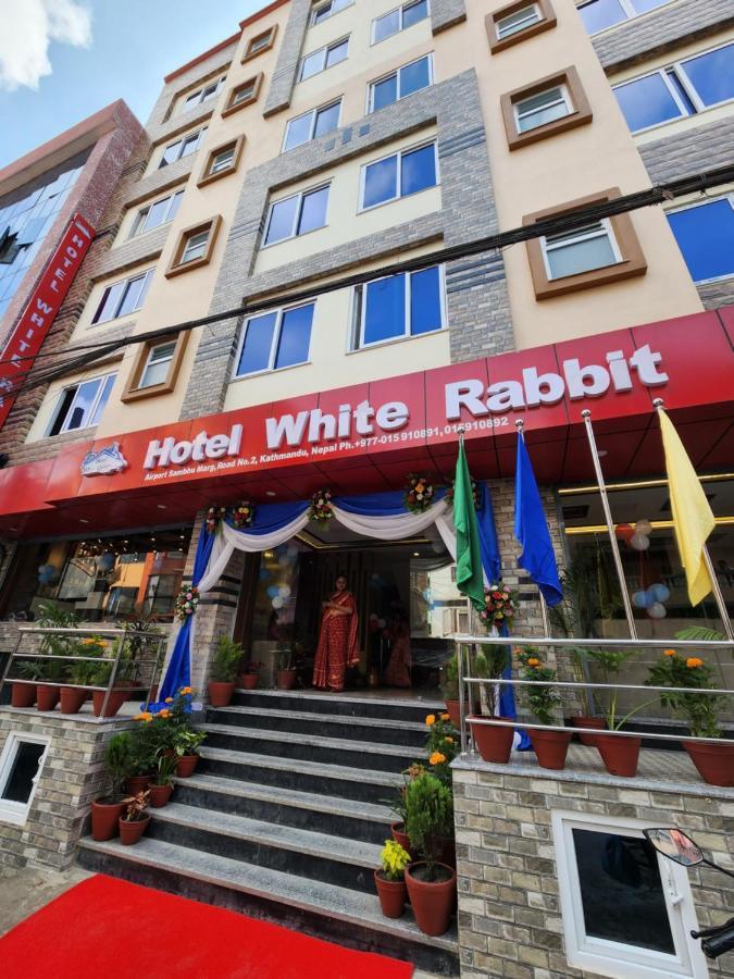 White Rabbit 3*